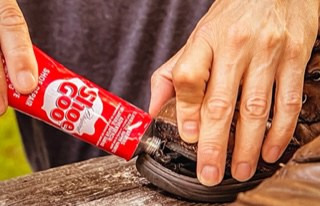 How to Fix Squeaky Shoes - 9 Ways That Works! - Soundproof Guide
